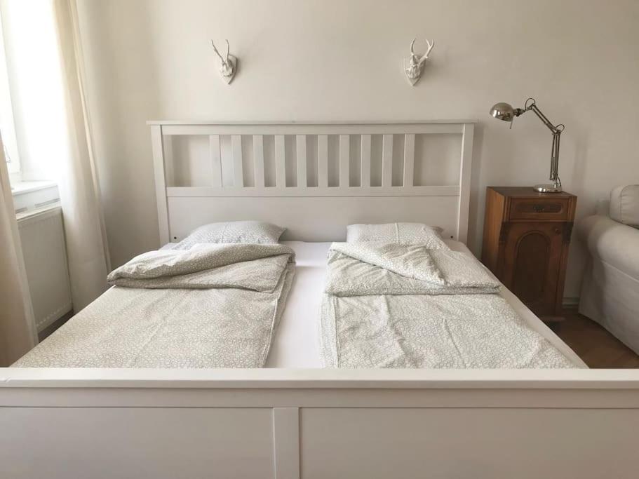 Apartment Wiener Altbauwohnung Vienna